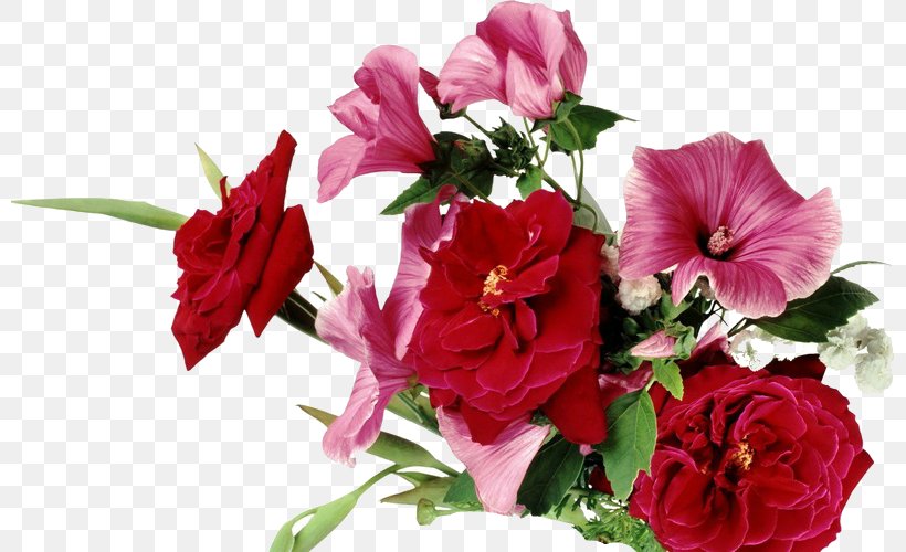 Desktop Wallpaper Flower Image Photograph Garden Roses, PNG, 800x500px, Flower, Annual Plant, Artificial Flower, Cut Flowers, Desktop Environment Download Free