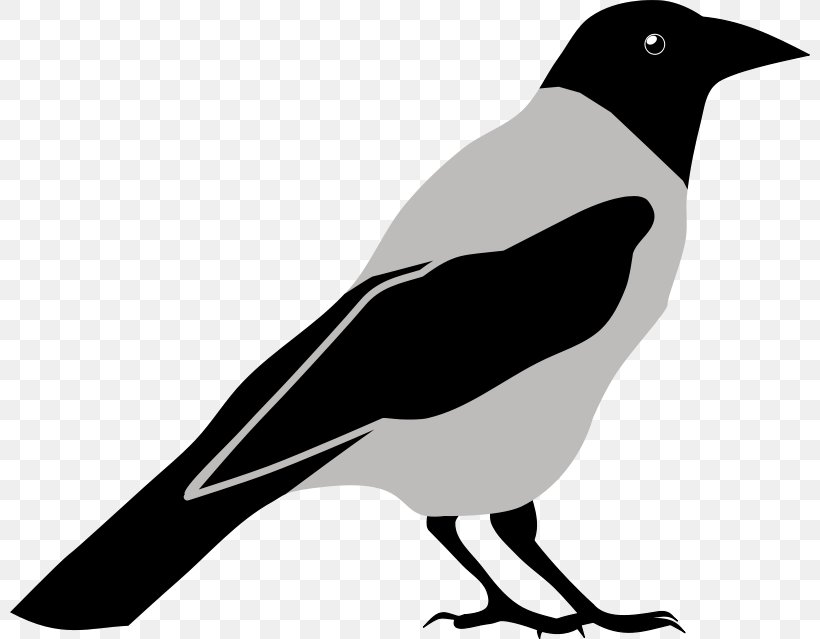 Common Raven Crow Bird Clip Art, PNG, 800x639px, Common Raven, Beak, Bird, Black And White, Crow Download Free