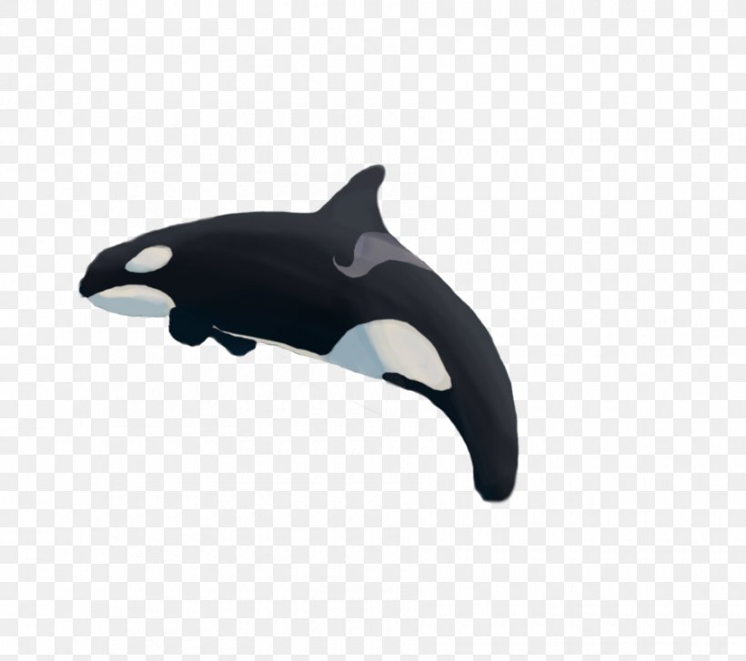 Dolphin Product Design Whale, PNG, 900x798px, Dolphin, Black, Black M, Fin, Mammal Download Free