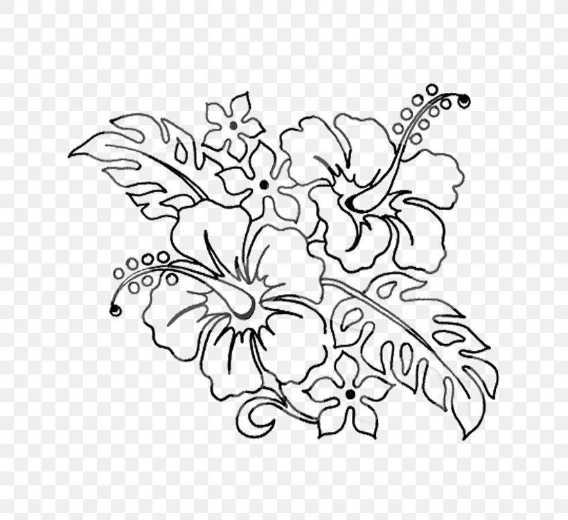 Decorative Borders Shoeblackplant Drawing Flower Clip Art, PNG, 750x750px, Decorative Borders, Area, Art, Black, Black And White Download Free