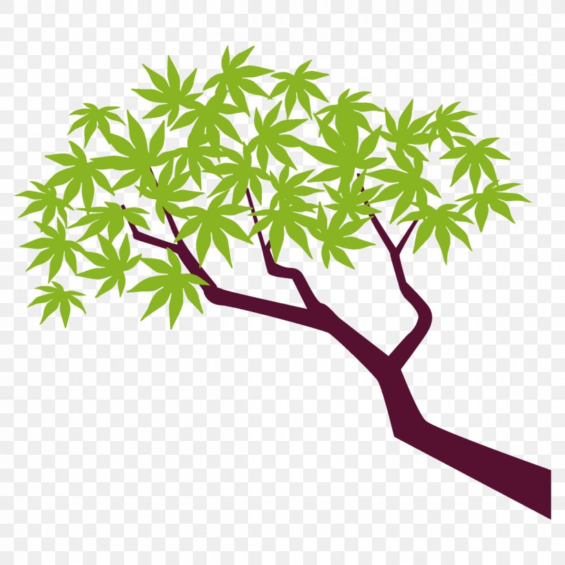 Maple Branch Maple Leaves Maple Tree, PNG, 1200x1200px, Maple Branch, Branch, Flower, Leaf, Maple Leaves Download Free