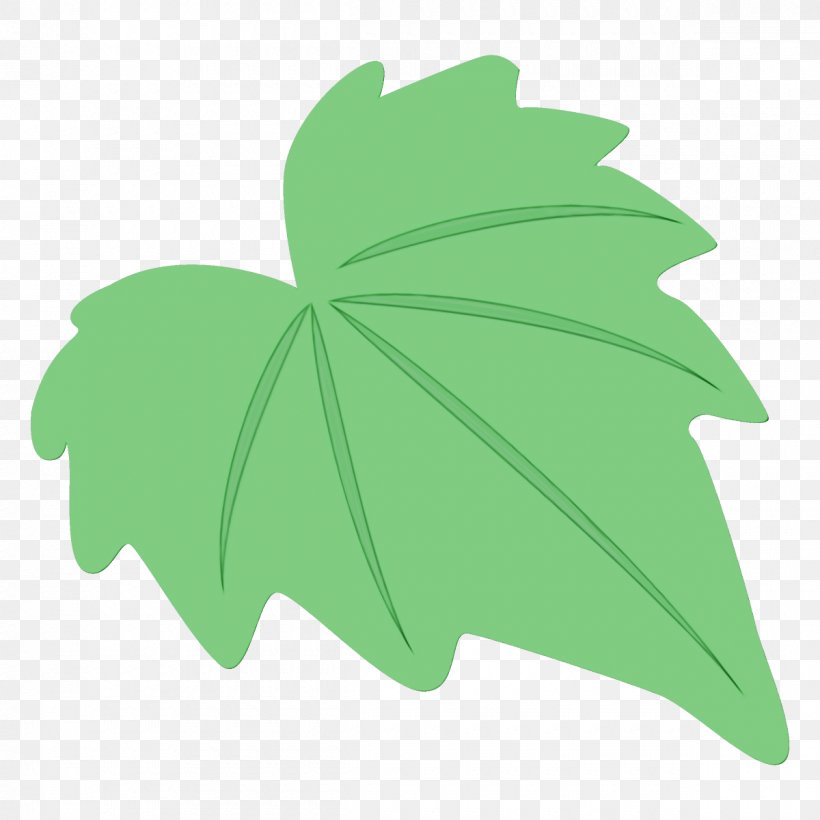 Maple Leaf, PNG, 1200x1200px, Watercolor, Green, Ivy, Leaf, Maple Leaf Download Free