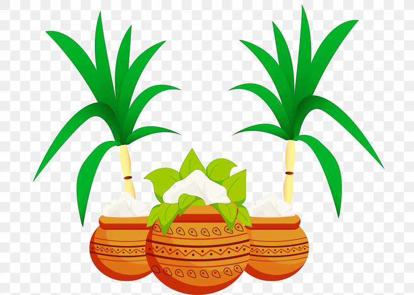 Pongal, PNG, 3000x2140px, Pongal, Arecales, Flower, Flowerpot, Fruit Download Free