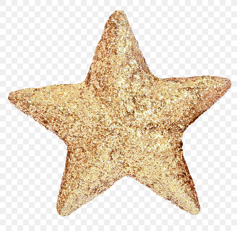Star Starfish, PNG, 800x800px, Star, Starfish Download Free