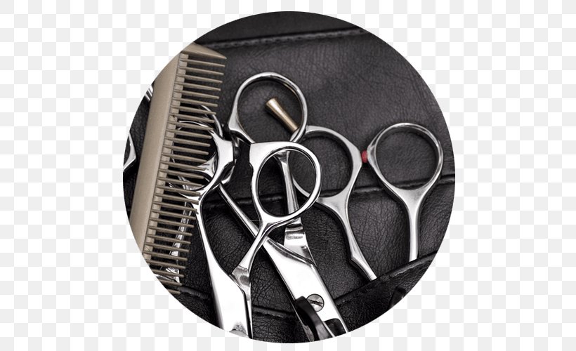 Beauty Parlour Cosmetologist Hairstyle Comb, PNG, 500x500px, Beauty Parlour, Barber, Beauty, Comb, Corte De Cabello Download Free