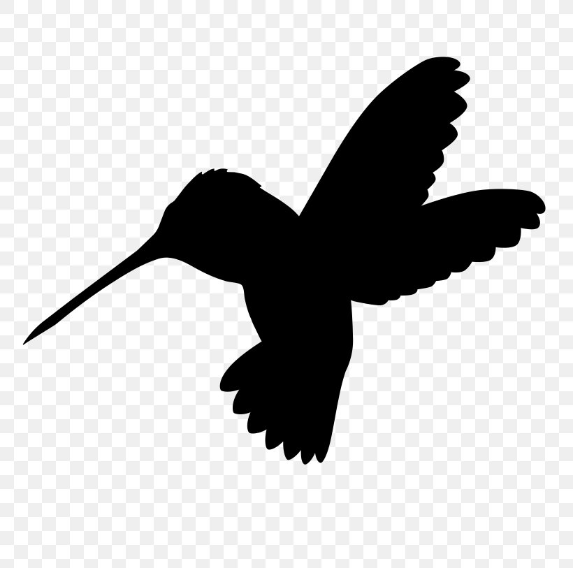 Bird Logo, PNG, 799x813px, Hummingbird, Beak, Bird, Bird Of Prey, Blackandwhite Download Free