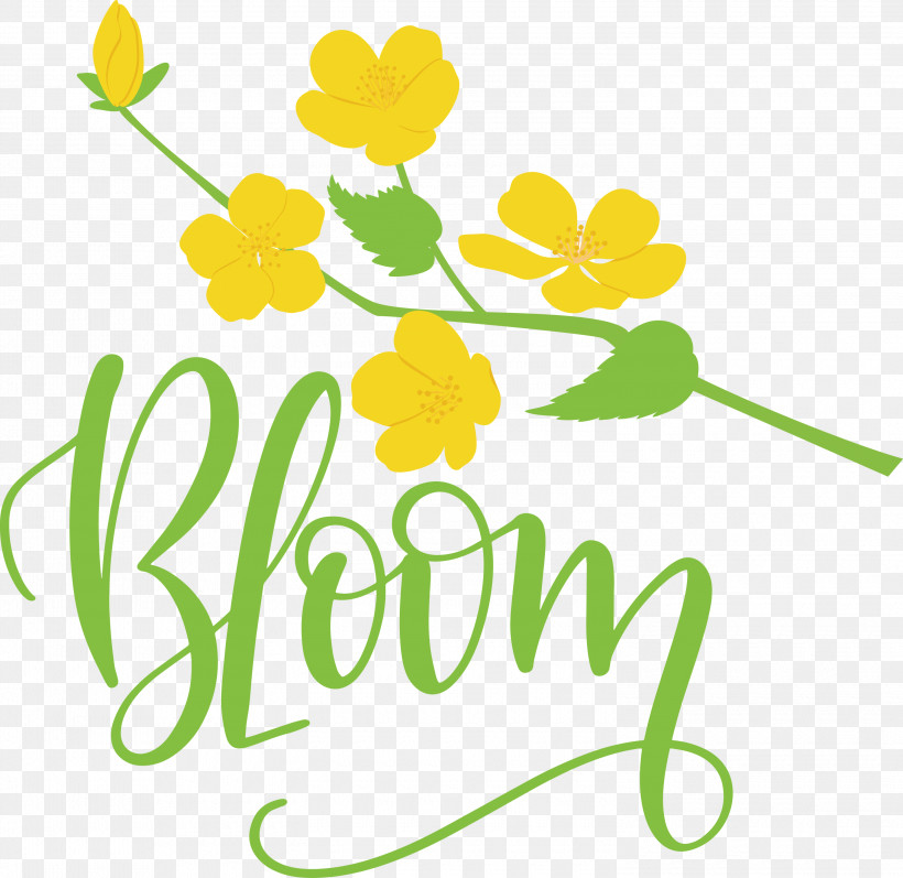 Bloom Spring, PNG, 3000x2918px, Bloom, Cut Flowers, Floral Design, Flower, Leaf Download Free