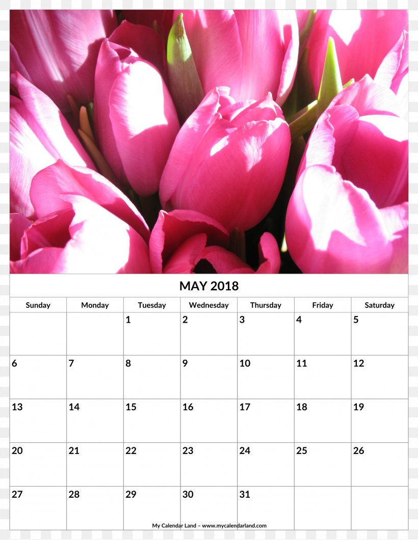 Flower Bouquet Tulip Cut Flowers, PNG, 2550x3300px, Flower, Amazoncom, Calendar, Cut Flowers, Flower Bouquet Download Free