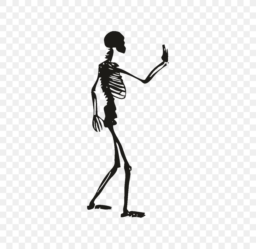 Human Skeleton Finger Schablone, PNG, 800x800px, Human Skeleton, Air Brushes, Arm, Black And White, Finger Download Free
