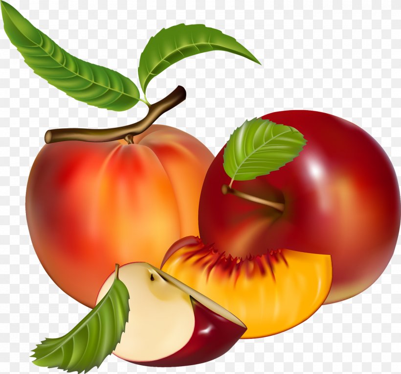 Juice Peach Fruit Clip Art, PNG, 1500x1399px, Juice, Apple, Apricot, Banana, Cherry Download Free