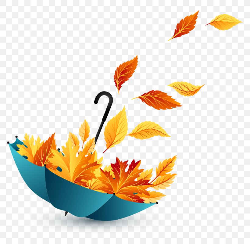 Clip Art Autumn Vector Graphics Image, PNG, 800x800px, Autumn, Bird Of Paradise, Blue, Flower, Leaf Download Free