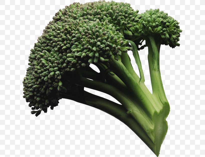 Broccoli Slaw Vegetable Coleslaw, PNG, 640x629px, Broccoli Slaw, Brassica Oleracea, Broccoli, Cabbage, Cauliflower Download Free