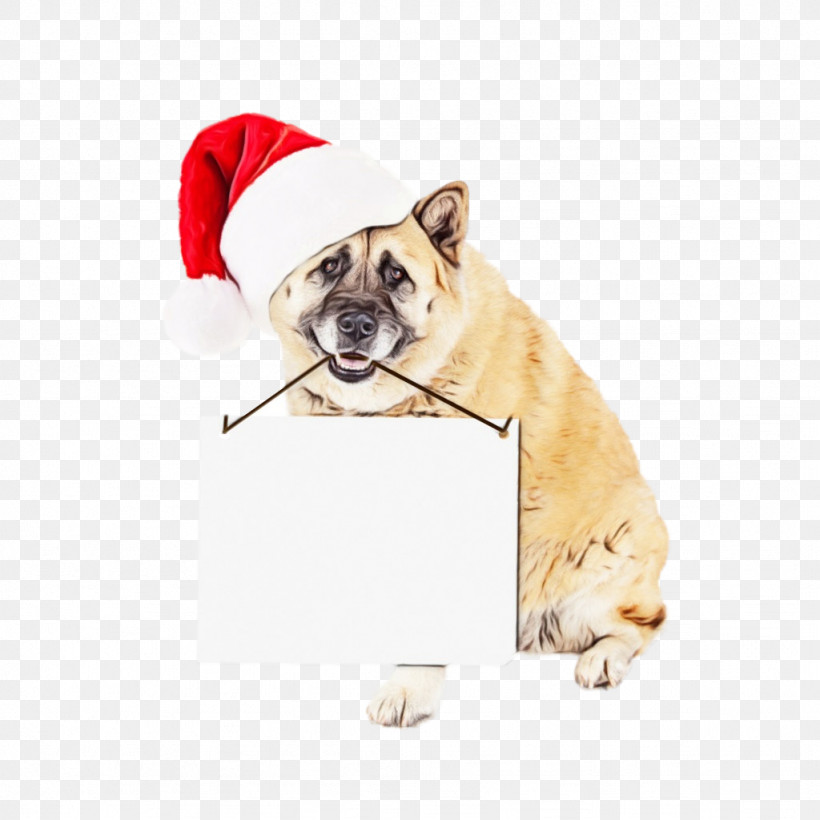 Bulldog, PNG, 1024x1024px, Dog, Bulldog, Christmas, Companion Dog, Dog Clothes Download Free