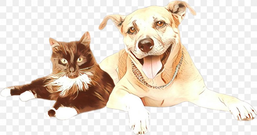 Dog And Cat, PNG, 1404x739px, Puppy, American Pit Bull Terrier, Bulldog, Cat, Chihuahua Download Free