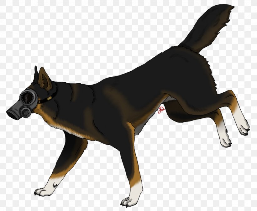 Dog Breed Leash Snout, PNG, 973x800px, Dog Breed, Breed, Carnivoran, Dog, Dog Breed Group Download Free