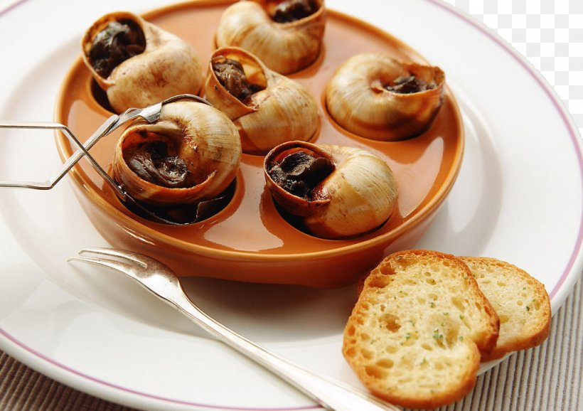 French Cuisine Seafood Escargot Cooking, PNG, 1024x723px, French Cuisine, American Food, Appetizer, Breakfast, Cooking Download Free