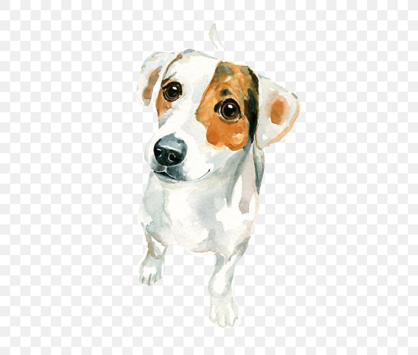 Jack Russell Terrier Watercolor Painting Art, PNG, 548x696px, Jack Russell Terrier, Animal, Art, Artist, Beagle Download Free