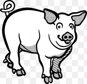 Clip Art Large White Pig Drawing Image Vector Graphics, PNG, 1280x645px ...