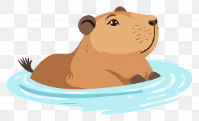 Capybara - Capybara Floating In Water Illustration PNG