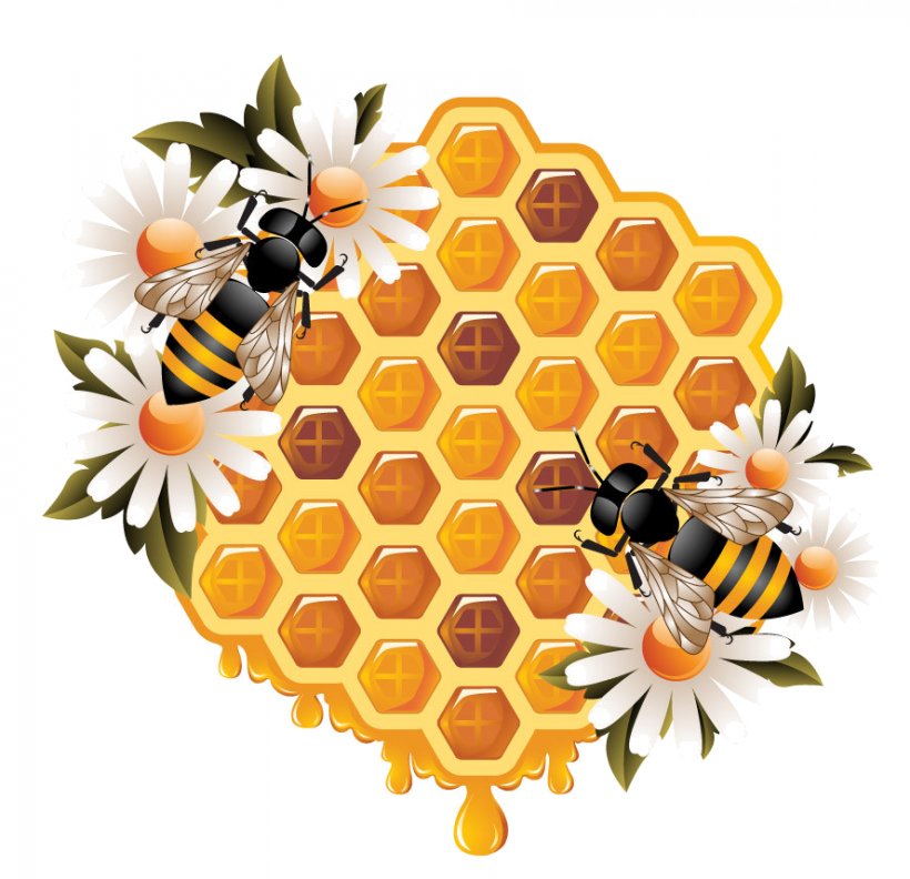 Honey Bee Honeycomb Beehive, PNG, 888x858px, Bee, Beehive, Bumblebee, Cut Flowers, Drawing Download Free