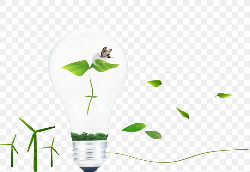 Light Ecology Green, PNG, 3155x2164px, Light, Ecology, Energy, Flower, Grass Download Free