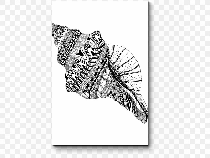 Seashell Drawing Vector Graphics Coloring Book Illustration, PNG, 1400x1050px, Seashell, Black And White, Coloring Book, Conch, Cowry Download Free
