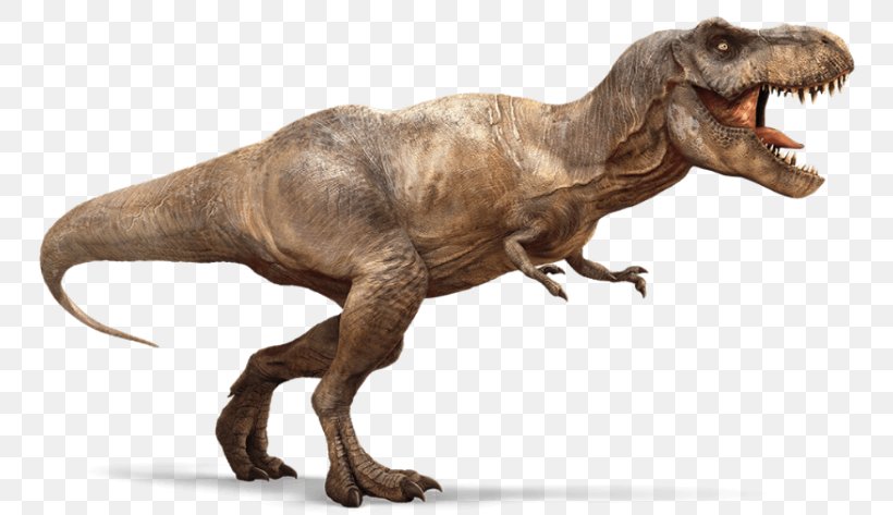 Tyrannosaurus Spinosaurus Carnotaurus Triceratops Theropods, PNG, 800x473px, Tyrannosaurus, Animatronics, Carnivore, Carnotaurus, Dinosaur Download Free