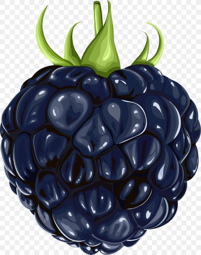 BlackBerry Fruit Clip Art, PNG, 1261x1600px, Blackberry, Auglis, Berry, Food, Fruit Download Free