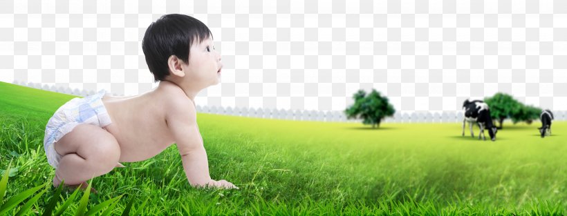 Lawn Human Behavior Toddler Nature Wallpaper, PNG, 4000x1530px, Lawn, Behavior, Child, Computer, Family Download Free