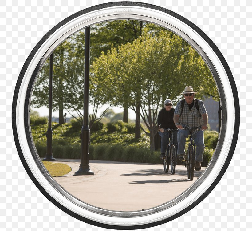 Town Point Park Elizabeth River Trail Cycling Tree Mountain Bike, PNG, 750x750px, Cycling, Bench, Bicycle, Brick, Fashion Accessory Download Free