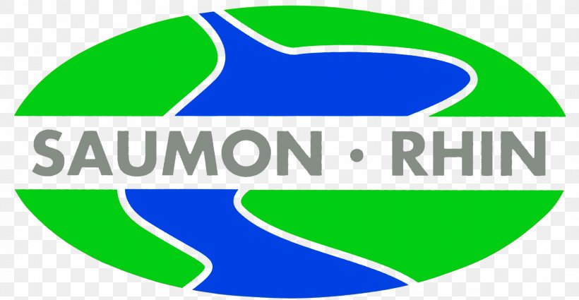 Logo Association Saumon Rhin Rhine Salmon Organization, PNG, 1926x1000px, Logo, Alsace, Area, Atlantic Salmon, Ball Download Free
