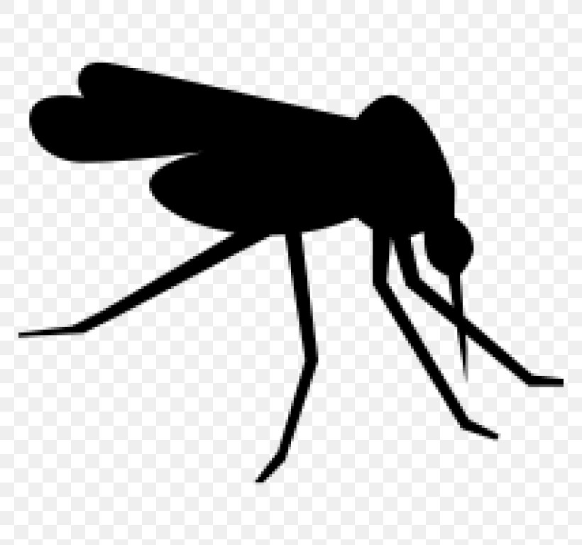 Mosquito Clip Art, PNG, 768x768px, Mosquito, Arthropod, Artwork, Black And White, Fly Download Free
