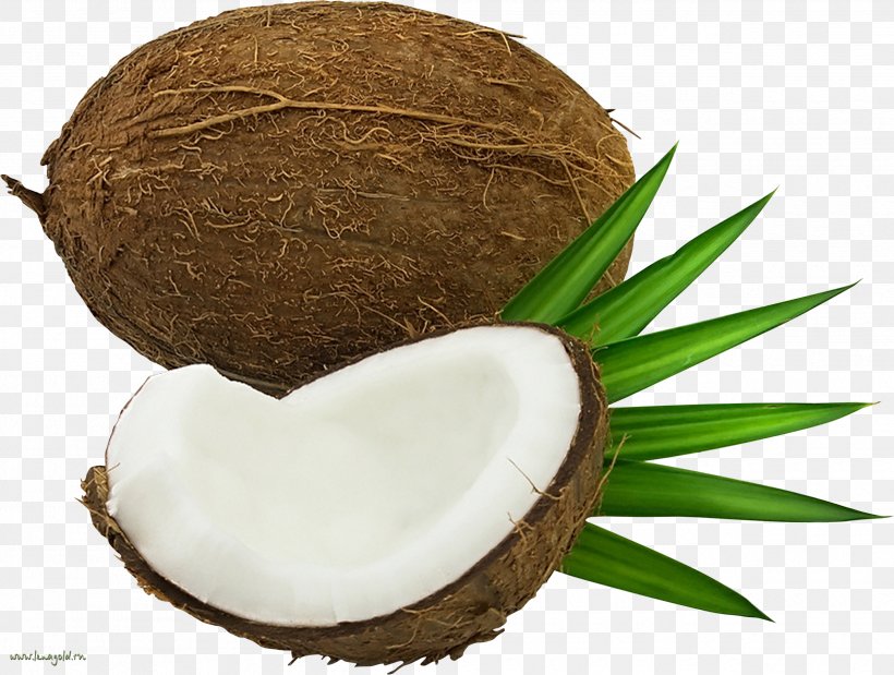 Cocos2d Sprite A Compression Artifact, PNG, 2485x1877px, Coconut Water, Coconut, Gimp, Photoscape, Superfood Download Free