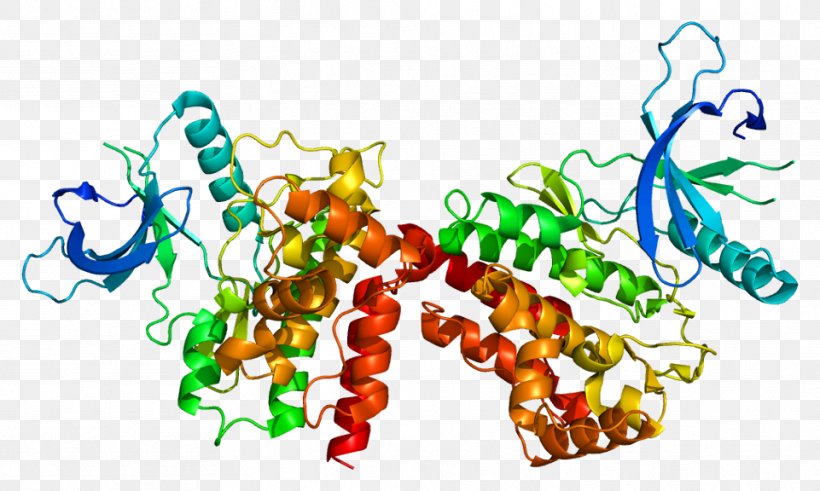 Janus Kinase 2 JAK-STAT Signaling Pathway Essential Thrombocythemia, PNG, 961x576px, Janus Kinase 2, Art, Disease, Essential Thrombocythemia, Fictional Character Download Free