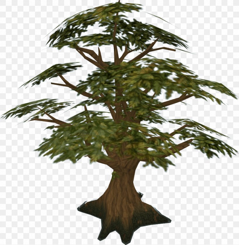 Tree RuneScape Oak Wikia Forest, PNG, 910x934px, Tree, Alder, Blog, Bonsai, Branch Download Free