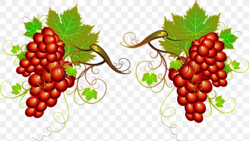 Wine Grape Clip Art, PNG, 1000x568px, Wine, Animation, Barrel, Berry, Food Download Free