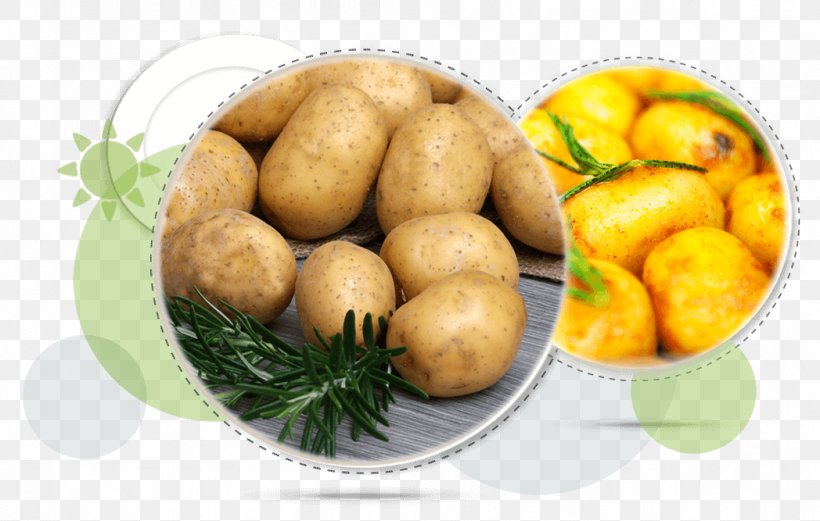 Yukon Gold Potato Nutrient Weight Loss Eating Vegetarian Cuisine, PNG, 1048x667px, Yukon Gold Potato, Appetite, Apple Cider Vinegar, Diet, Dieting Download Free