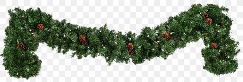 Pine Light Clip Art, PNG, 1000x338px, Pine, Biome, Branch, Christmas, Christmas Decoration Download Free