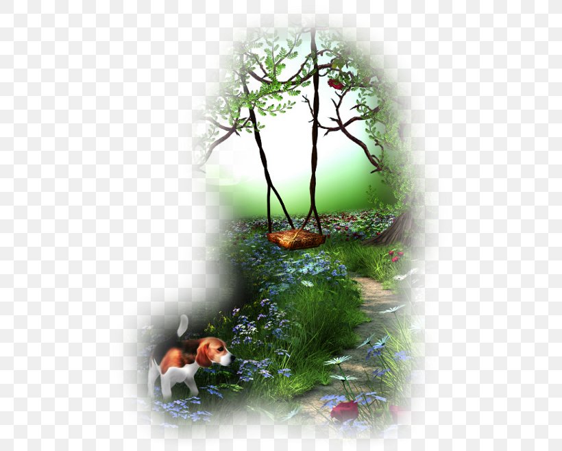 Water Garden Image Desktop Wallpaper, PNG, 500x658px, Water Garden, Branch, Fundal, Garden, Garden Pond Download Free