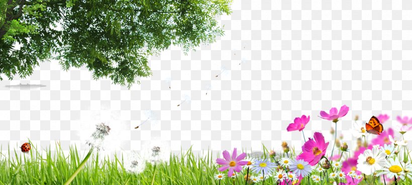 Download Green, PNG, 1000x450px, Green, Branch, Drawing, Ecosystem, Field Download Free