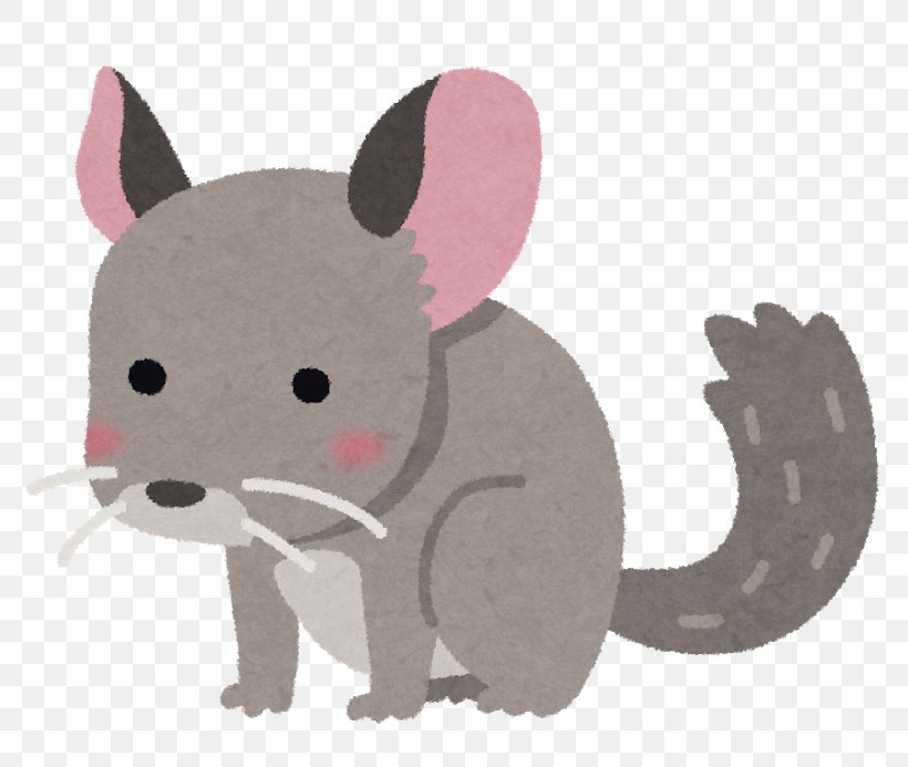 Squirrel Cartoon, PNG, 800x693px, Longtailed Chinchilla, Animal, Animal Figure, Animation, Cartoon Download Free