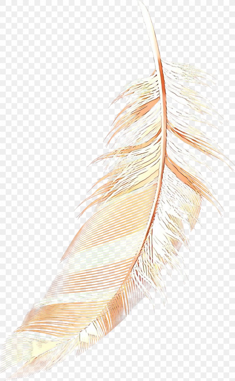 Writing Cartoon, PNG, 992x1610px, Feather, Beige, Natural Material, Pen, Quill Download Free