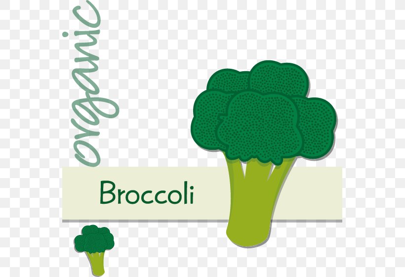Graphic Design, PNG, 567x560px, Cartoon, Animation, Art, Brand, Broccoli Download Free