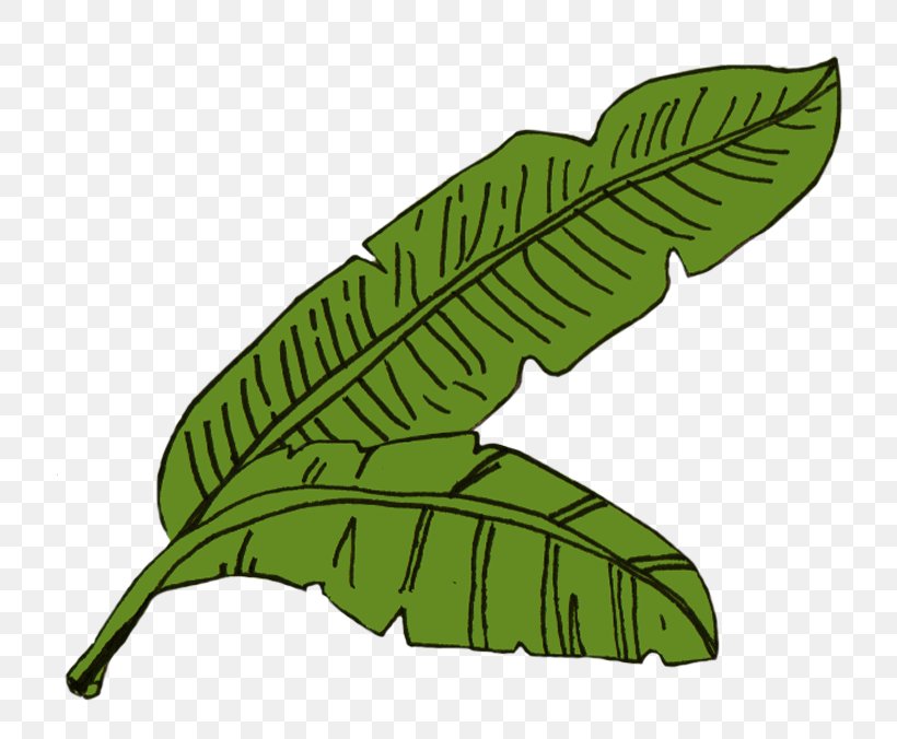 Leaf Image Illustration Food Sketch, PNG, 777x676px, Leaf, Banana, Food, Menu, Month Download Free