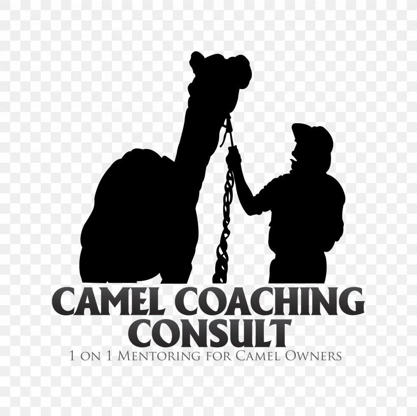 Bactrian Camel Australian Feral Camel Camel Milk Saddle, PNG, 1973x1969px, Bactrian Camel, Australian Feral Camel, Behavior, Black And White, Brand Download Free