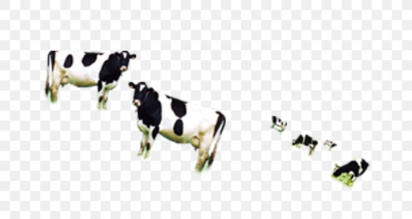 Dairy Cattle Goat Livestock, PNG, 718x436px, Dairy Cattle, Animal, Black And White, Cartoon, Cattle Download Free