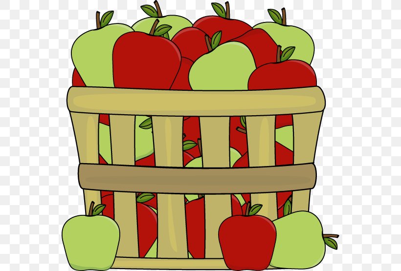 Fruit Picking Cloverleaf Books: Fall Apples: Crisp And Juicy Clip Art, PNG, 568x555px, Fruit Picking, Apple, Autumn, Bell Peppers And Chili Peppers, Blog Download Free
