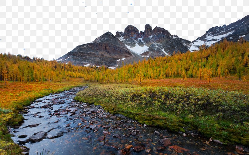 Landscape Stream 1080p Autumn Wallpaper, PNG, 1920x1200px, Landscape, Autumn, Display Resolution, Fell, Grass Download Free
