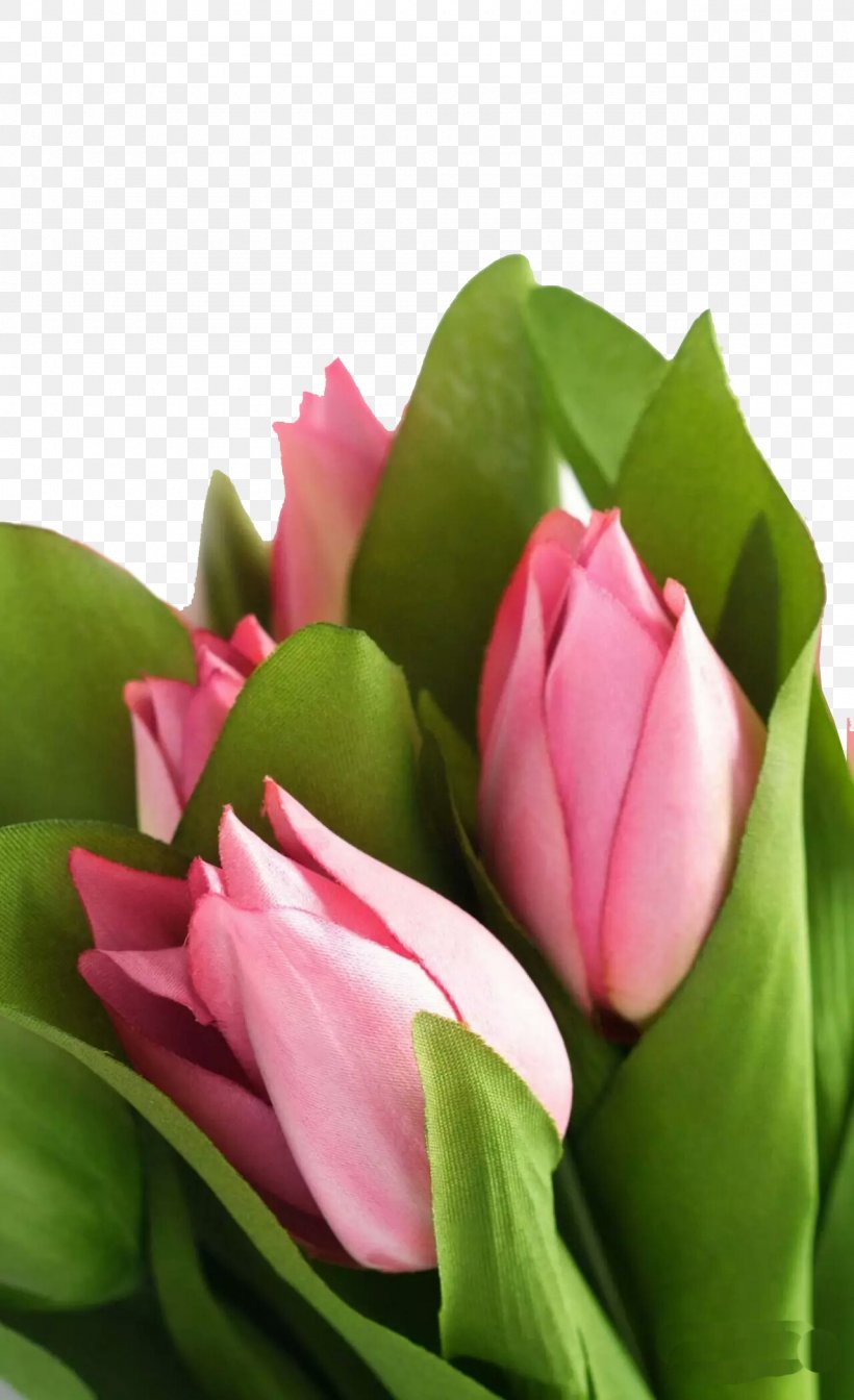 Artificial Flower Rose Tulip, PNG, 1280x2098px, Flower, Artificial Flower, Bud, Color, Cut Flowers Download Free
