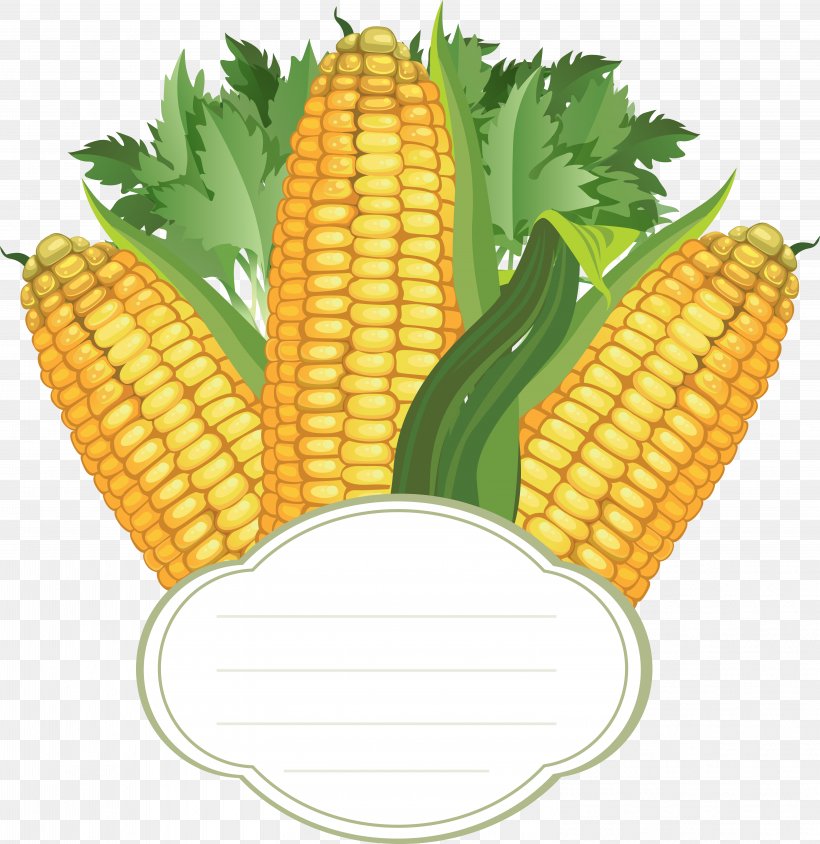 Corn On The Cob Vector Graphics Sweet Corn, PNG, 6006x6183px, Corn On The Cob, Cereal, Commodity, Corn, Corn Kernel Download Free
